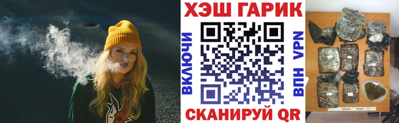 ГАШ Изолятор Западная Двина