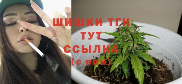 PSILOCYBIN Инсар