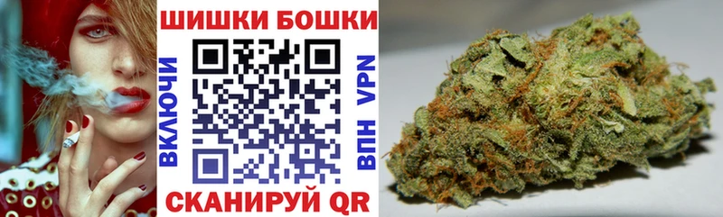 Купить закладки  Западная Двина  Бошки Шишки Ganja 